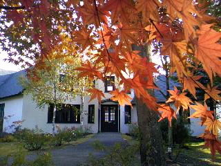 d0024220_15191913.jpg