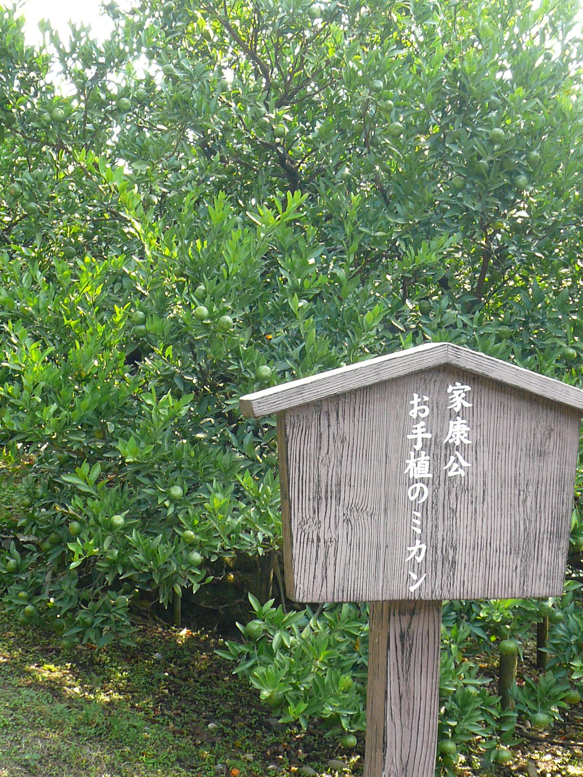 f0163920_12224591.jpg