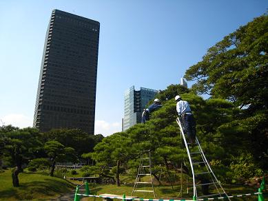 f0166824_17434564.jpg