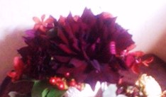 e0189225_14501940.jpg