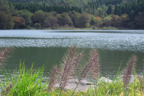 f0007926_2172037.jpg