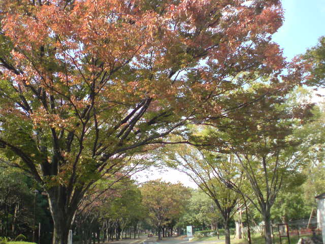 e0016828_14191419.jpg