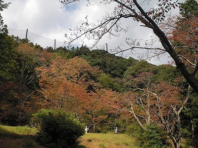 f0009128_16141549.jpg
