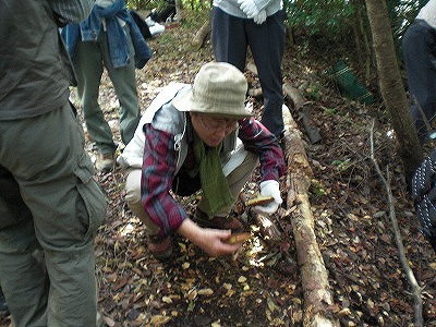 f0009128_16245576.jpg