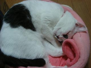 b0000829_20422424.jpg