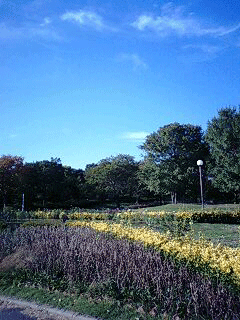 d0048332_7371610.gif