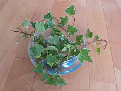 f0061334_21271650.jpg