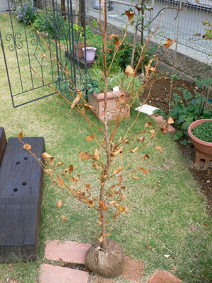 f0061334_2127748.jpg
