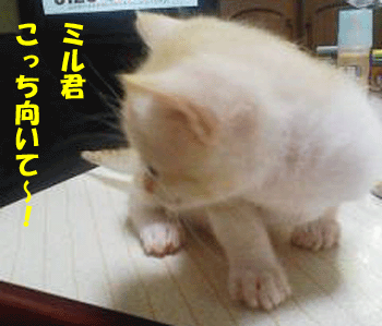 f0008935_5474789.gif