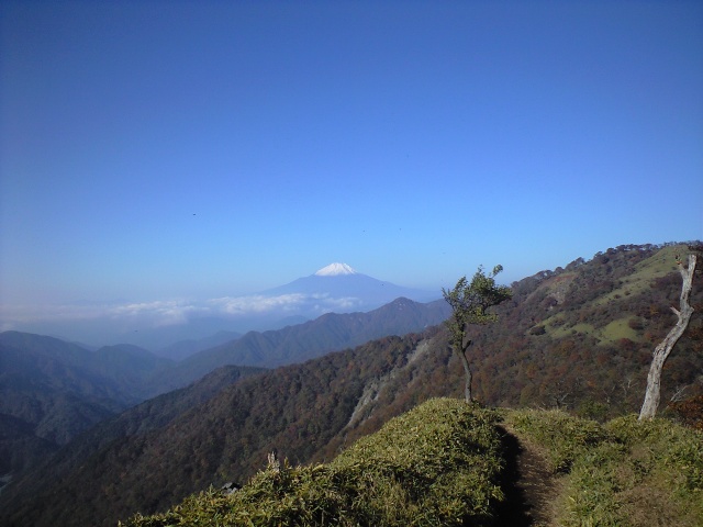 d0107938_9574586.jpg
