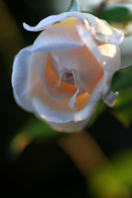 b0075541_20313440.jpg