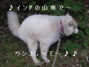 e0121548_2239944.jpg