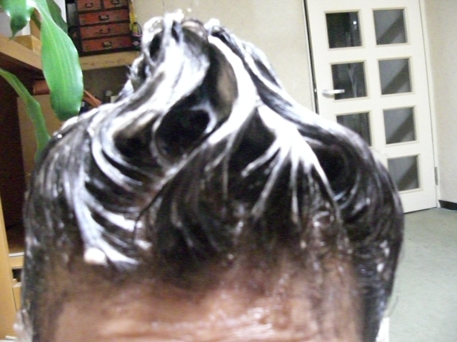 b0049549_18395977.jpg