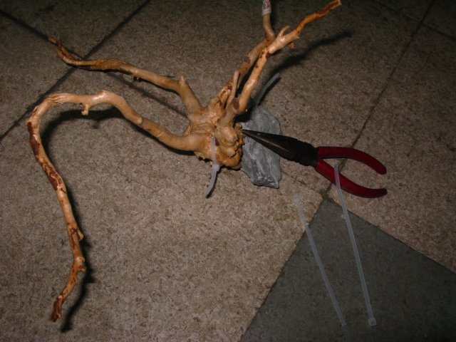 f0198950_21462781.jpg