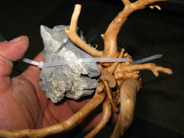 f0198950_21463614.jpg