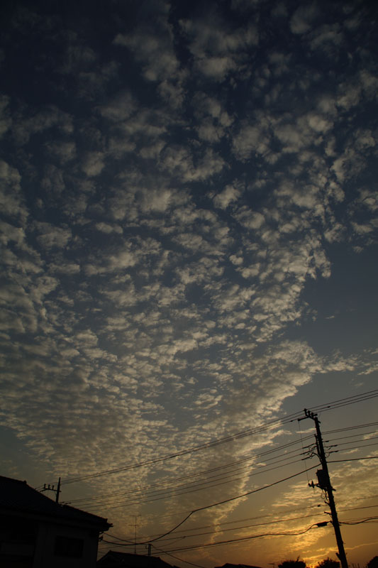 b0187052_22332911.jpg