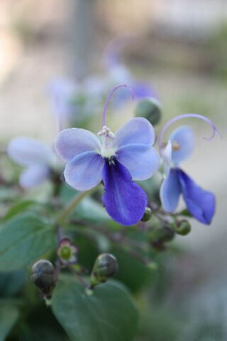 f0140257_124227.jpg