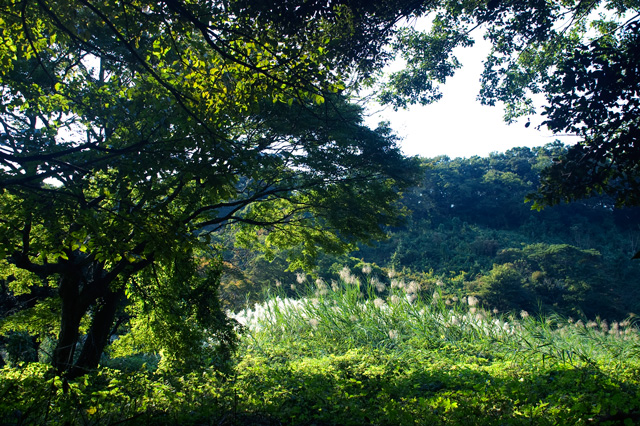 f0176458_21392763.jpg