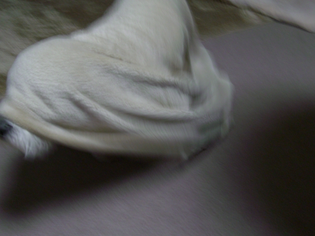 f0170866_1835417.jpg
