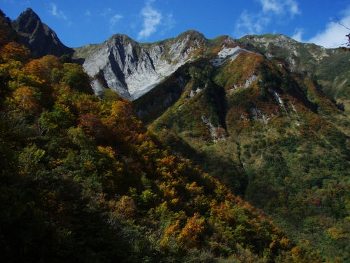 b0050067_23244557.jpg