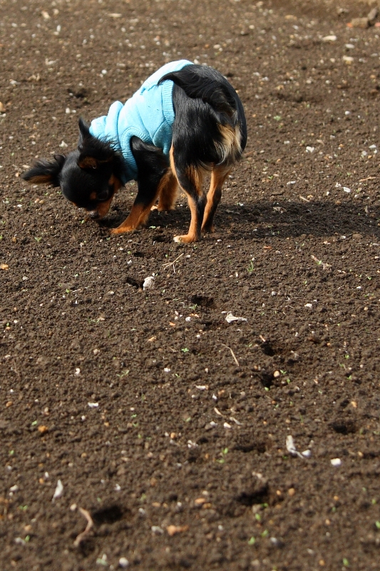 a0016775_22272654.jpg