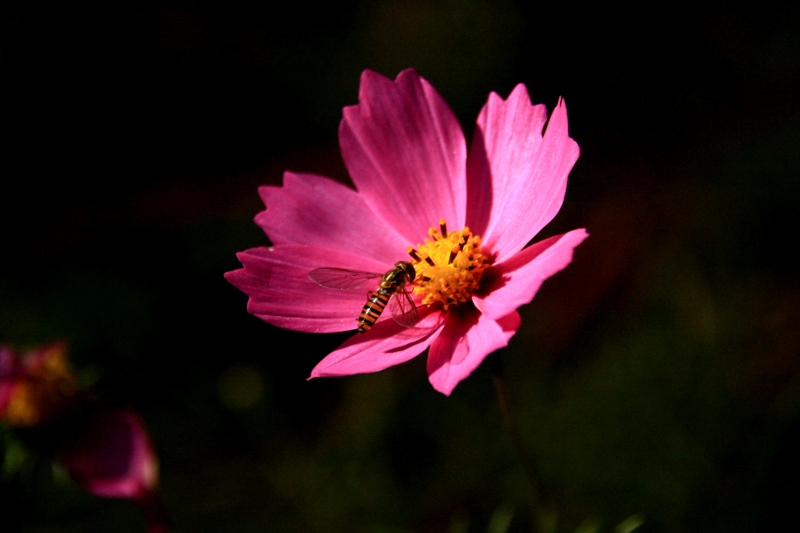 d0126577_235859.jpg