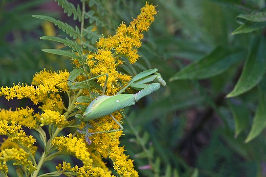 e0190885_20113999.jpg