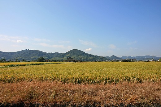 e0190885_208122.jpg