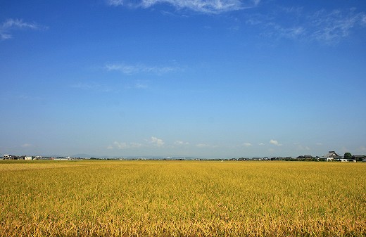 e0190885_2081555.jpg
