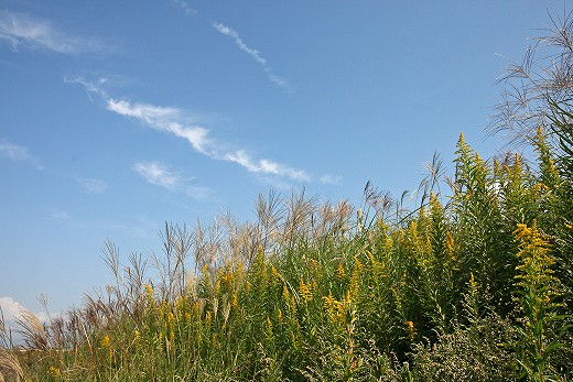 e0190885_2091631.jpg