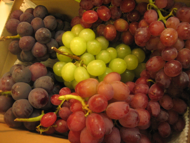 a0052486_2353847.jpg