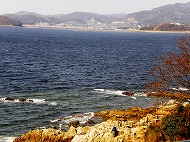 a0109288_0443237.jpg