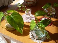 c0033788_10294988.jpg