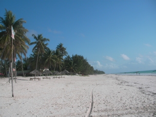 e0118788_3215731.jpg