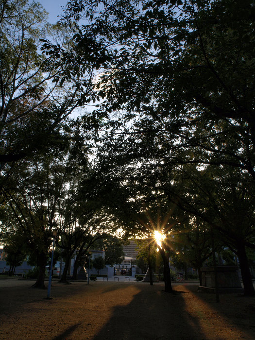 a0133692_19394633.jpg