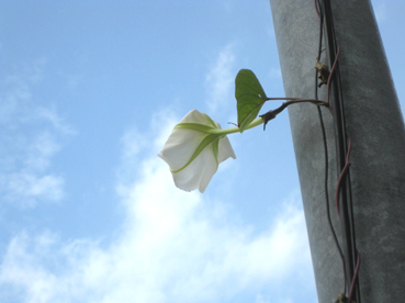 c0096393_0544429.jpg