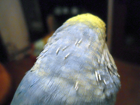 d0131293_22291095.jpg