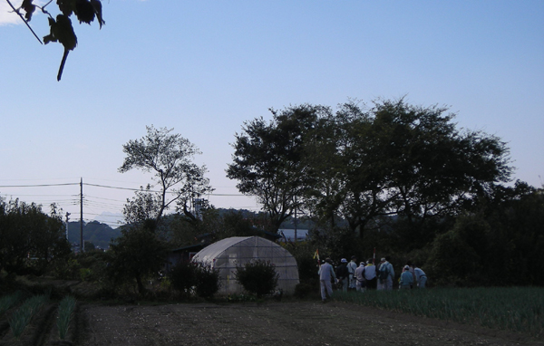 d0000995_20492049.jpg