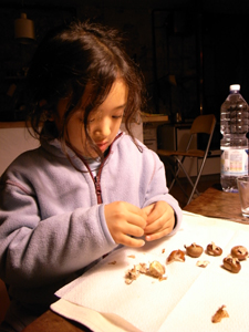 f0106597_3575672.jpg