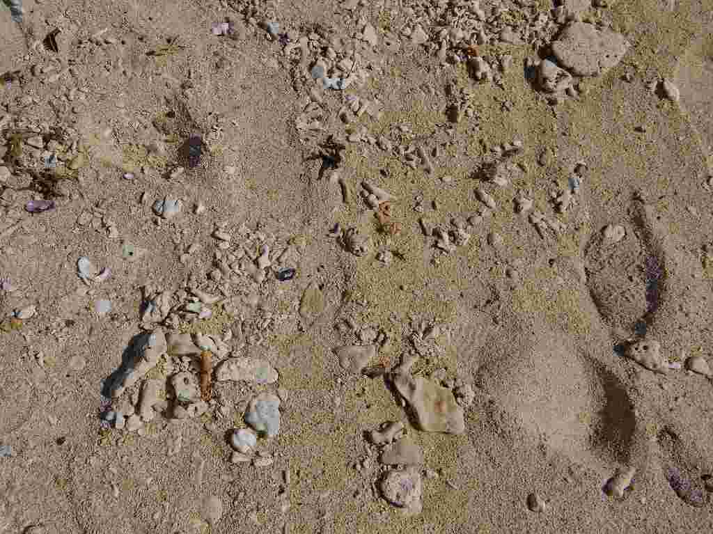 c0187403_184807.jpg