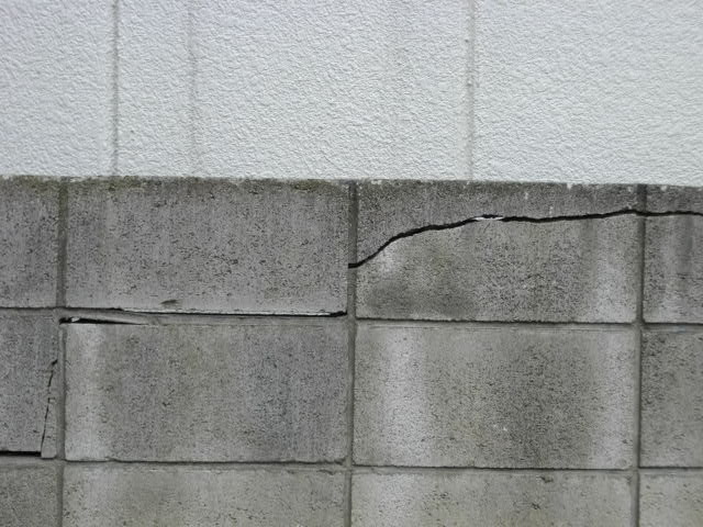 e0149405_1192189.jpg