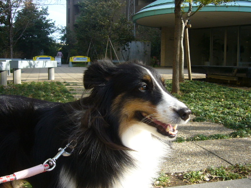 e0130008_2038429.jpg