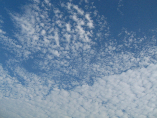 d0150309_20141445.jpg