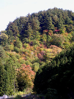 f0036716_17515110.jpg