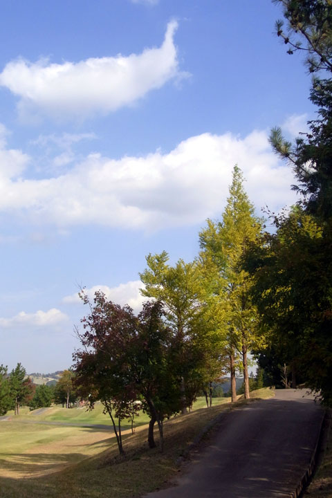 e0083517_7374811.jpg