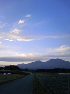 d0024220_17291021.jpg
