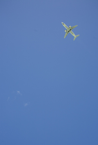 c0182022_224111100.jpg