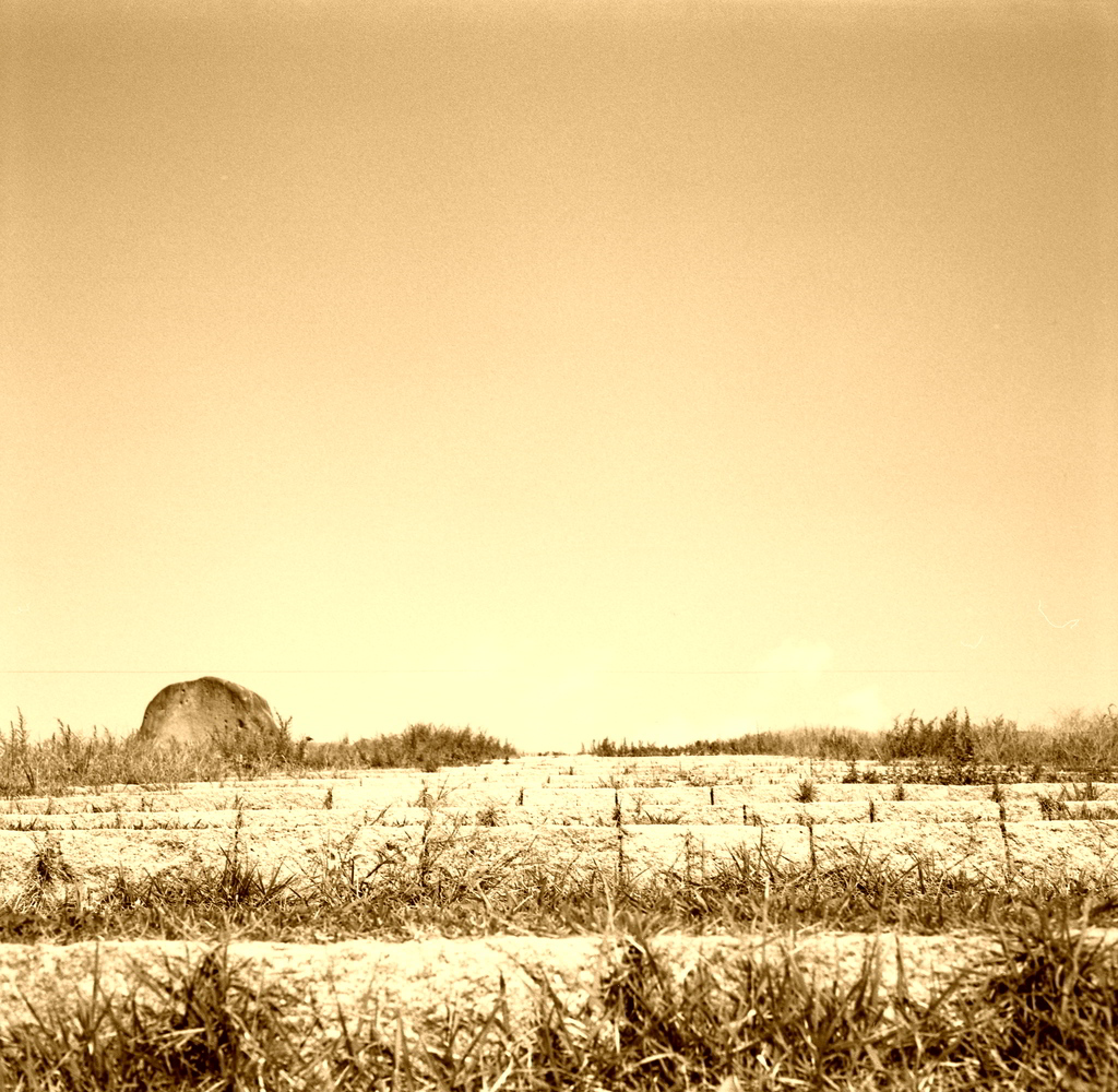 b0137723_8263625.jpg
