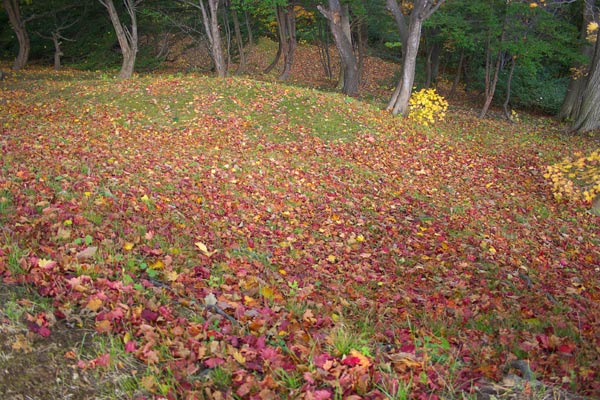 e0001123_1550466.jpg