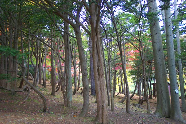 e0001123_15515266.jpg